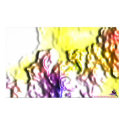 DreamXyZ.com - FANTASTIX print