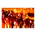 DreamXyZ.com - Fire print