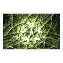 DreamXyZ.com - FIVE STARS print