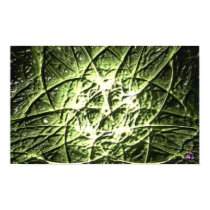 DreamXyZ.com - FIVE STARS posters