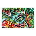 DreamXyZ.com - FLOWER 8 print