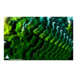 DreamXyZ.com - Infinity Print