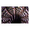 DreamXyZ.com - Metropolitan print