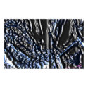 DreamXyZ.com - Octopix print