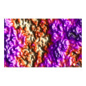 DreamXyZ.com - PANSY print