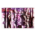 DreamXyZ.com - Pinkline print