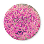 Dreamy Alliums Fridge Magnet