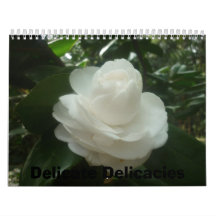 Dreamy Beauties Wall Calendar