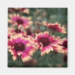 Dreamy Blanket Flowers Fridge Magnets