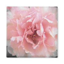 Dreamy Blooms magnets