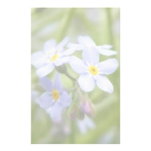 Dreamy Blue Forget Me Nots Stationery Design