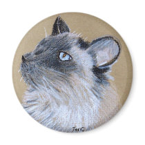 Dreamy Cat magnets