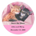 Dreamy Cats Save the date stickers by maximus7 Dreamy Cats Save the date stickers