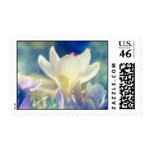 Dreamy Crocuses Stamp
