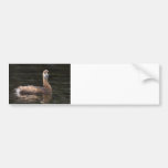 Dreamy Cute Bumper Sticker