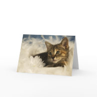 Dreamy Kitten zazzle_card