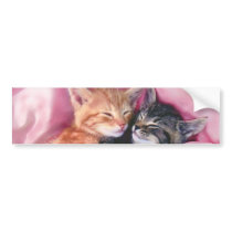 dreamy kittens bumper sticker
