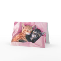dreamy kittens greeting card