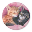 dreamy kittens magnet by maximus7 dreamy kittens magnet