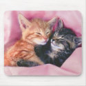dreamy kittens mousepad