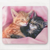 dreamy kittens mousepad