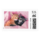 Dreamy Kittens stamp
