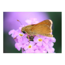 Dreamy Moth Print posters