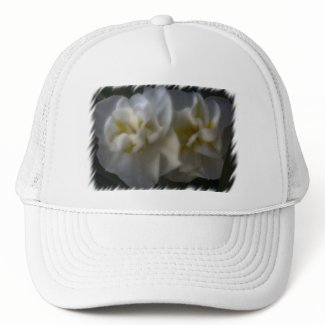 Dreamy Narcissus Daffodils zazzle_hat