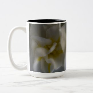 Dreamy Narcissus Daffodils zazzle_mug