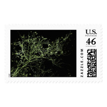Dreamy Night Landscape Stamp