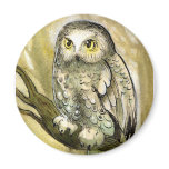 Dreamy Owl Magnets