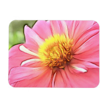 Dreamy Pink Dahlia Rectangular Magnets