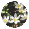 Dreamy Rain Lilies stickers