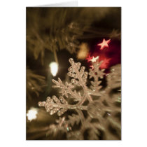 Dreamy Snow Flake Ornament cards