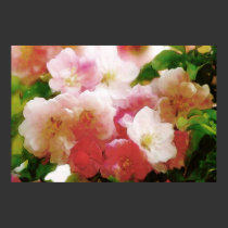 Dreamy Spring Blossoms Water Color Poster posters by dduhaime55 Dreamy Spring Blossoms Water Color Poster posters