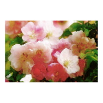 Dreamy Spring Blossoms Water Color Poster posters
