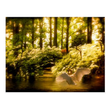 Dreamy Swan Postcard