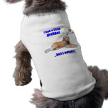 DreidelDog pet clothing