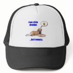 DreidelDog hats