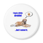 DreidelDog magnets