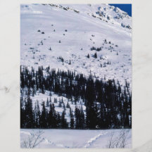 Drenaje de madera del río en invierno tarjeton