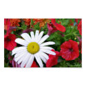 Drenched Daisy posters by stacy_taylor Drenched Daisy posters