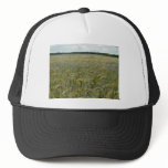 Drenthe - Corn Flower field hats