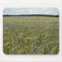 Drenthe - Corn Flower field Mouse Pads