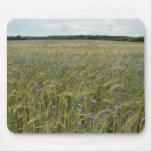 Drenthe - Corn Flower field mousepads
