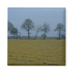Drenthe - Yellow Grass and Trees Fridge Magnet