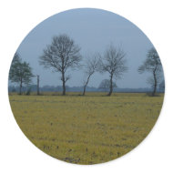 Drenthe - Yellow Grass and Trees sticker