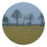Drenthe - Yellow Grass and Trees stickers