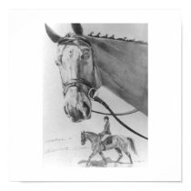 Dresage Horse poster posters by carollakestudios Dresage Horse poster posters