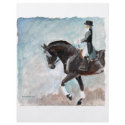 dressage1 flyers by cathylester dressage1 flyers